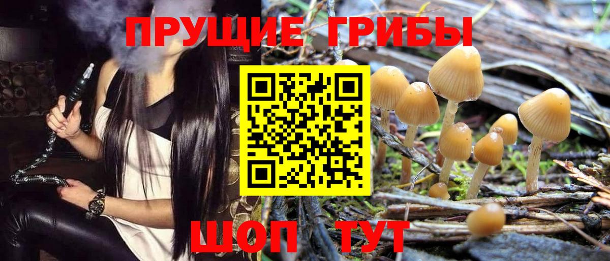 Галлюциногенные грибы мицелий Гатчина