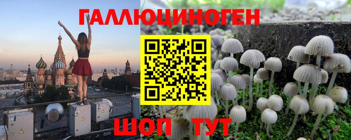 Псилоцибиновые грибы MAGIC MUSHROOMS  Вход с VPN  хочу   Галлюциногенные грибы Psilocybe  Гатчина 